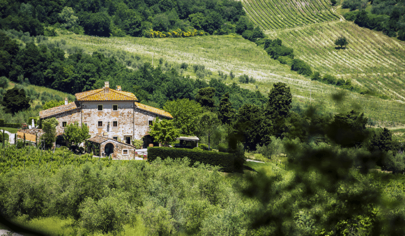 ファットリア・ラバッキオの眺め