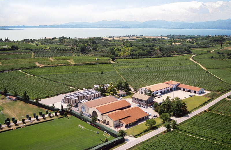 デリボリ醸造所 ワイン畑