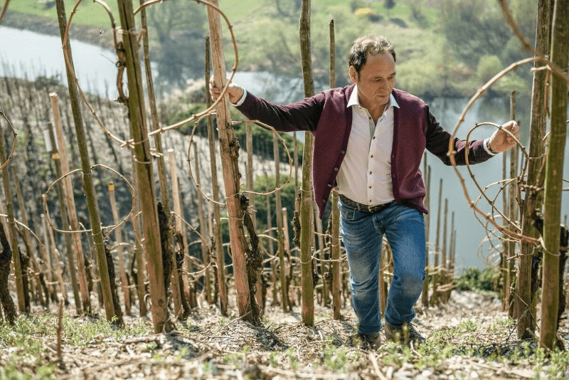 ブドウ畑でのマルクス・モリトール氏 ブドウ畑でのマルクス・モリトール氏