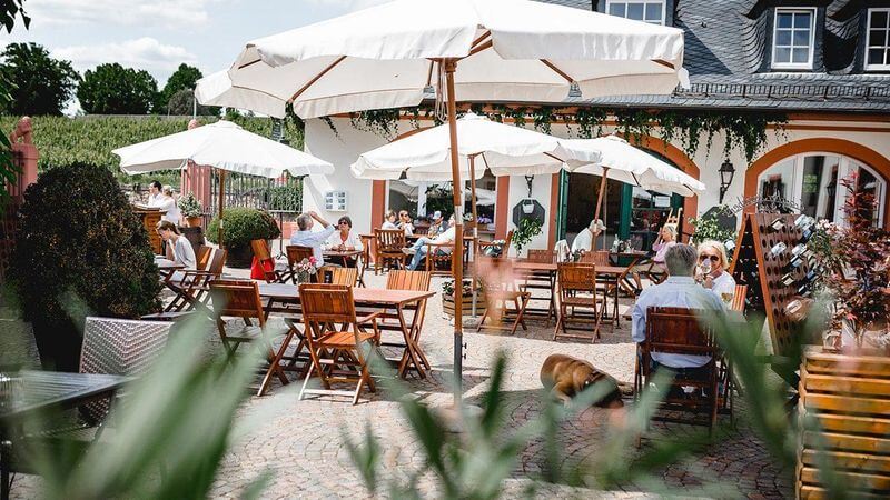 プリンツ・フォン・プロイセンのブドウ畑 プリンツ・フォン・プロイセンのブドウ畑