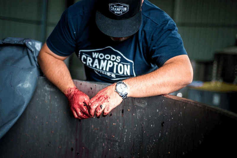 Fourth Wave Wine ワイン醸造 Fourth Wave Wine ワイン醸造