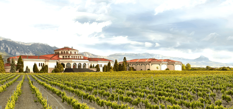 ワイナリー棟の様子