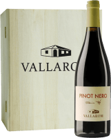 in OHK X 6 Bt Pinot Nero Filippo Scienza - Vallarom