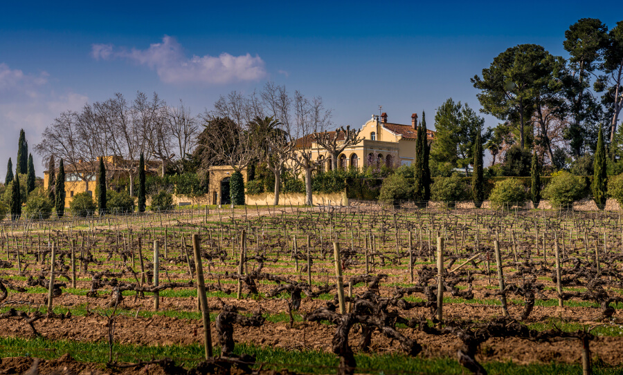 トーレス フィンカマス ラプラナ