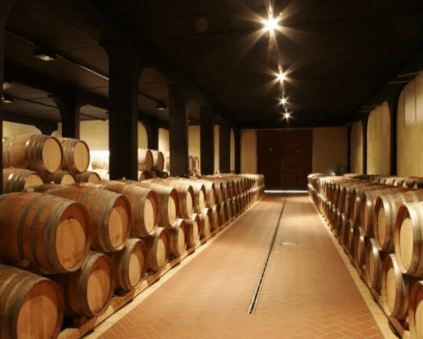 テヌータ・イル・ポッジョーネ セラー テヌータ・イル・ポッジョーネ セラー