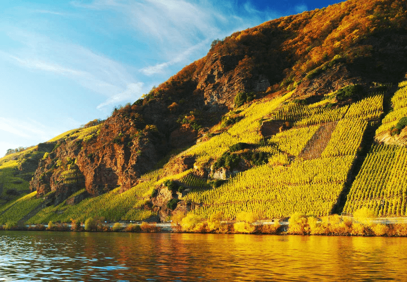 状況 エルデン司教 状況 エルデン司教