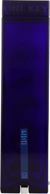 Gin - One Key