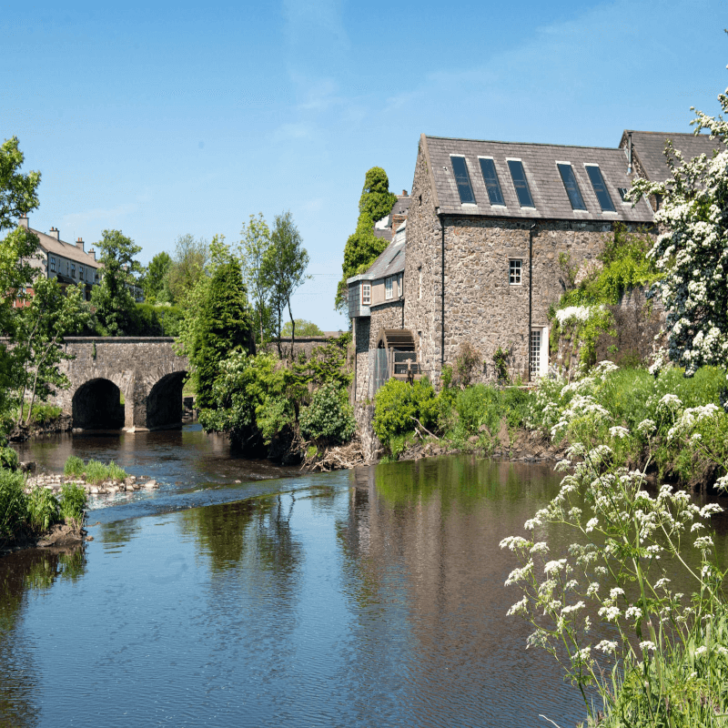 ブッシュ川と村の製粉所のひとつ