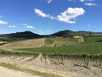 モンタルチーノの丘