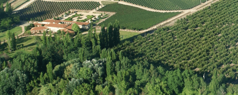 スーティル・ファミリー・ワインズワイナリー