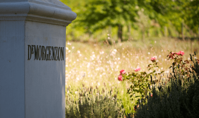 デ・モルゲンゾン・ドライブウェイ