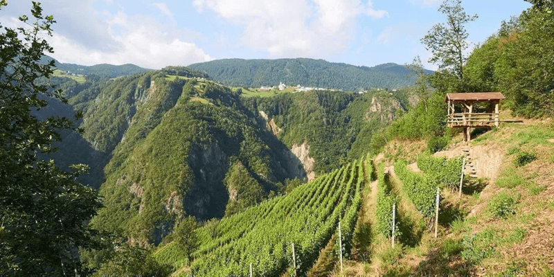 Aussichtsplattform Prackfol Aussichtsplattform Prackfol