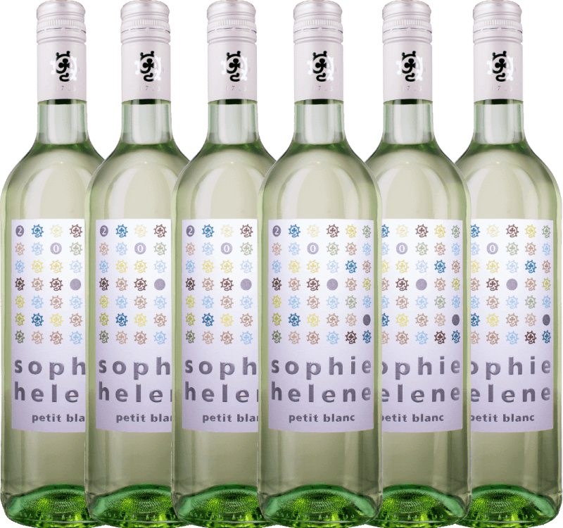 6er Vorteils-Weinpaket - Sophie Helene petit blanc - Weingut Hammel