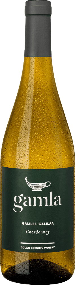 プレビュー: 6er Probierpaket - Weine aus Israel - Alles absolut Koscher!