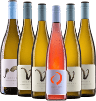 プレビュー: ヘルナー・ワイナリーのワイン - 6倍テイスティング・パッケージ