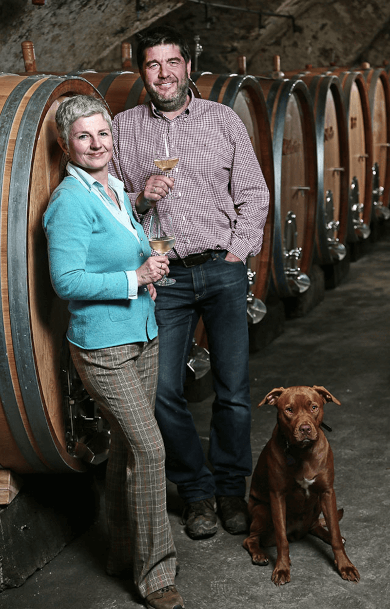 ワイナリー・カール・エルハルト・ペトラ + カール・エルハルト