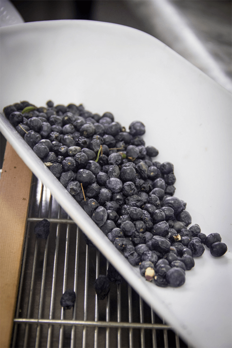 ブレスカ・ドラダ・ミルト ブレスカ・ドラダ・ミルト