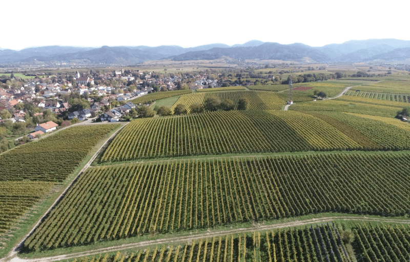 ゾッツ・マルタ庭園の空撮