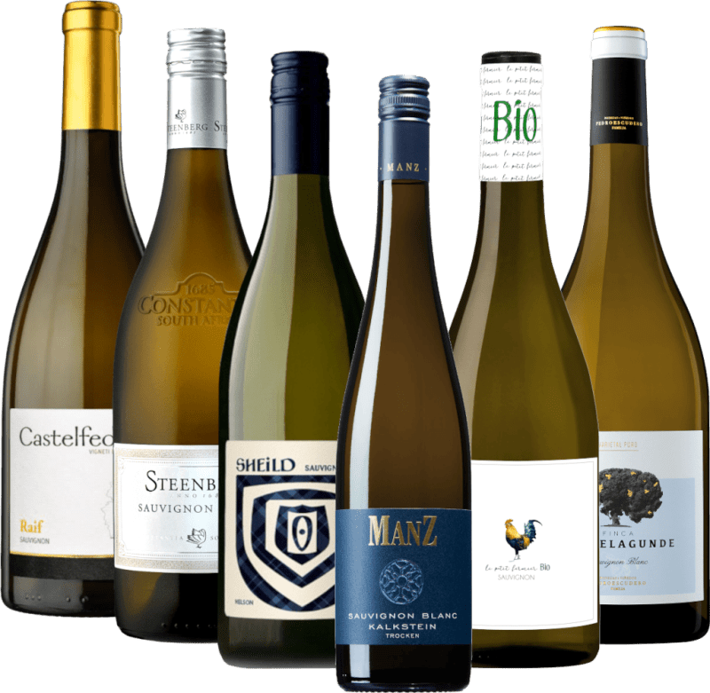 ソーヴィニョン・ブランの世界旅行 - 6本のテイスティングパッケージ