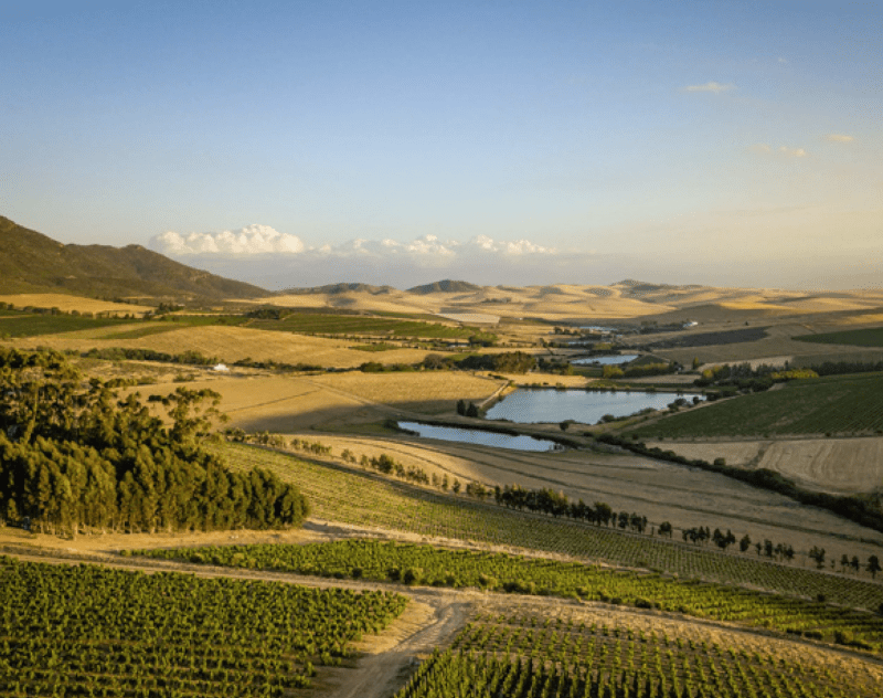 ペルデバーグセラー地域