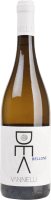 Bellone - Vini Vannelli
