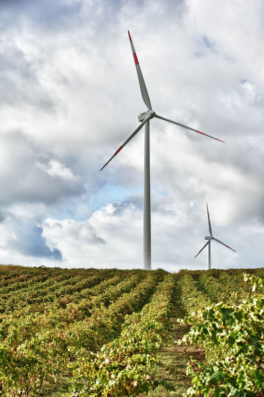 ヴィニャーティ・ザブ、サステナビリティの証し ヴィニャーティ・ザブ、サステナビリティの証し