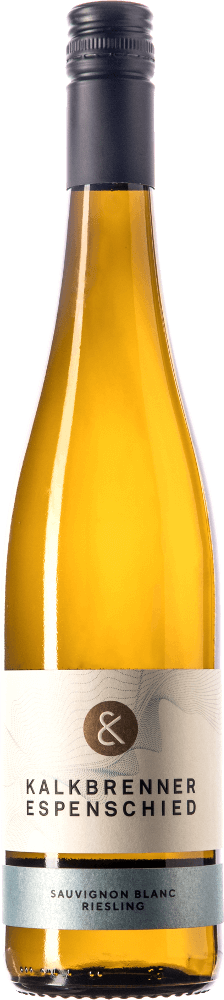 プレビュー: 6er Kennenlernpaket - Weine Europas - von Sachsen bis nach Toro