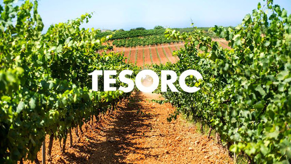 12994489_1248693098475969_7514768468571813176_n