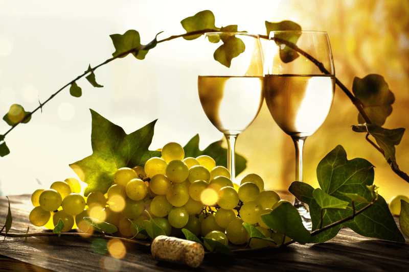 グラスの中のソーヴィニョン・ブラン グラスの中のソーヴィニョン・ブラン