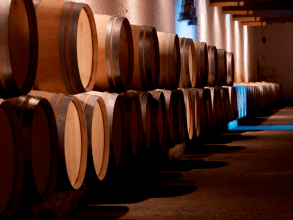 シャトーのセラー