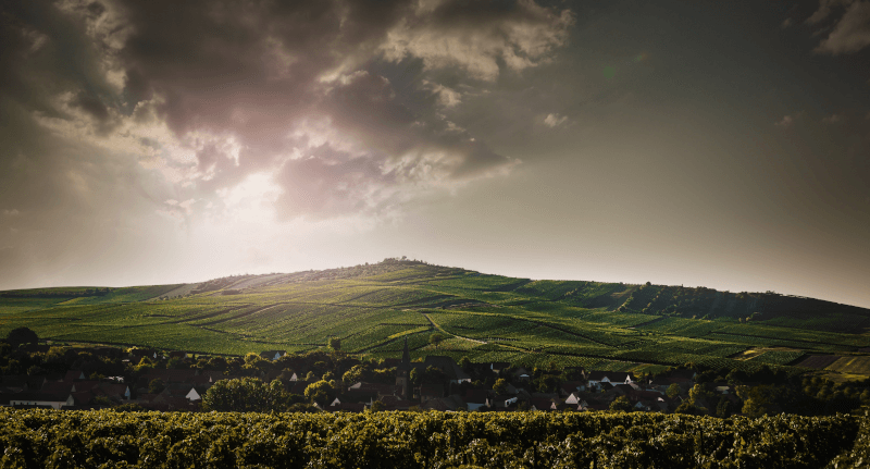 ベヒトルスハイマー・ペーターズベルク