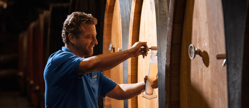 シュロス・ラインハルトハウゼン マーティン・フォーゲル シュロス・ラインハルトハウゼン マーティン・フォーゲル