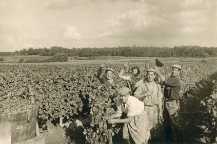 収穫の歴史的写真