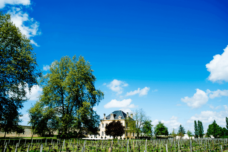 モルトゥスワインの心臓部、シャトー・テシエル