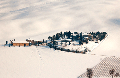 冬枯れのワイン