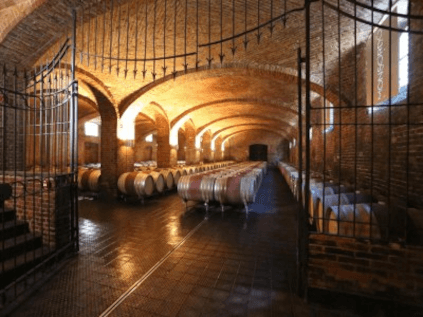 チェレットワインセラー