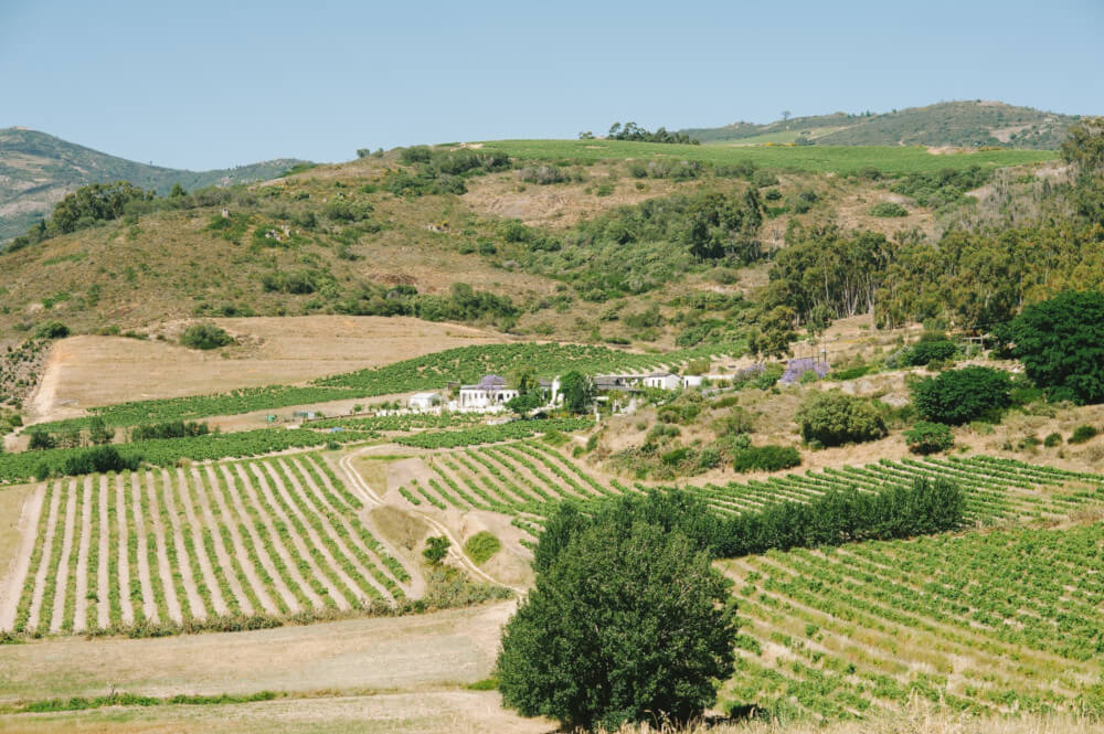 A.A.バーデンホルスト・ワイナリー