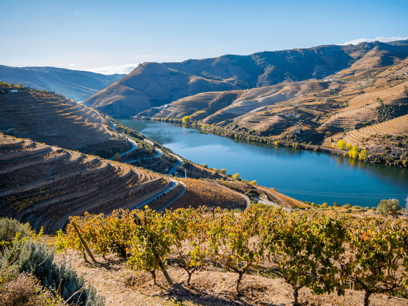 ドウロ渓谷のパノラマ