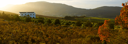 ウォーカー湾にあるハミルトン・ラッセル・ヴィンヤーズ