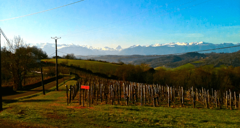 リオネル・オスミン・ヴィンヤード