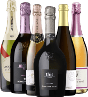 乾杯にぴったりのシュワシュワバラエティ — 6本入りお試しパック