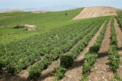 トラーパニの丘陵地