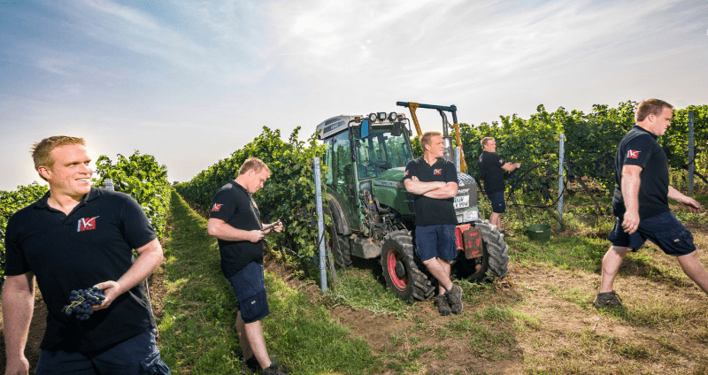 ケッセルリングワイナリー - ルーカス、ぶどう畑で