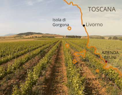 Azienda Agricola Bruniの地域 Azienda Agricola Bruniの地域