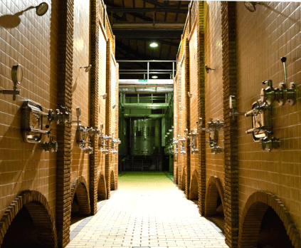 ジャラバのセラー ジャラバのセラー