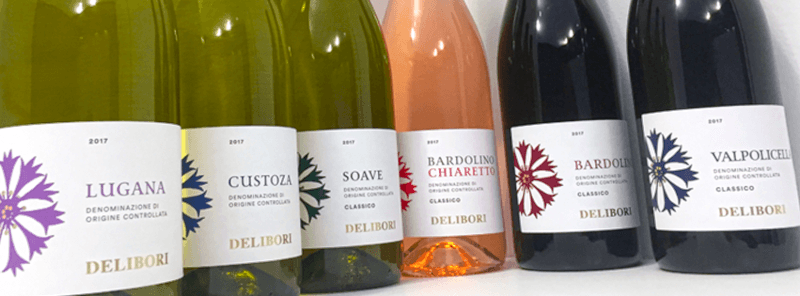 デリボリ醸造所 ワイン畑 1