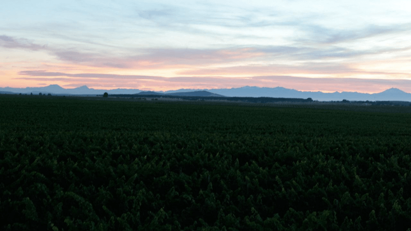 マウル・バレー