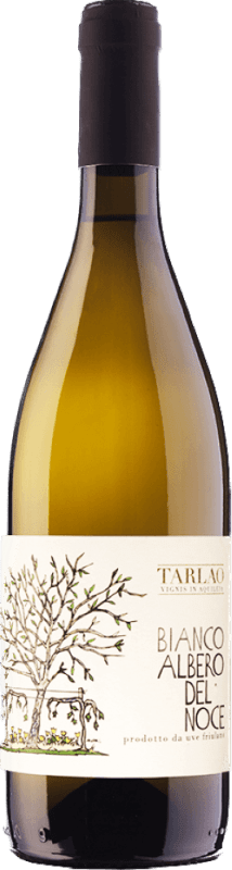 Friulano Aquileia Selezione Albero Del Noce - Tarlao