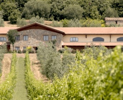 テヌータ・イル・ポッジョーネ テヌータ・イル・ポッジョーネ