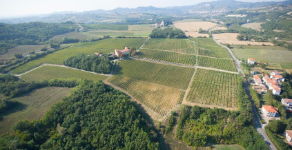 コルテーゼのブドウ畑に囲まれて - ラ・トレダーナ